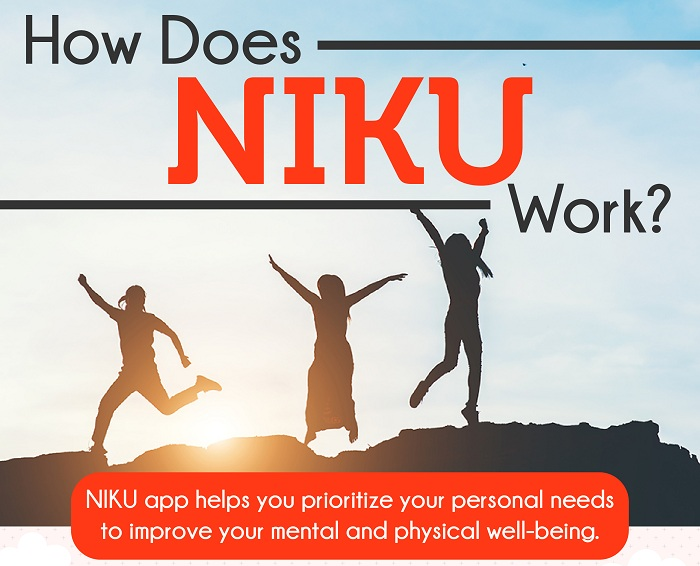 How Does NIKU Work? How Does NIKU Work?
