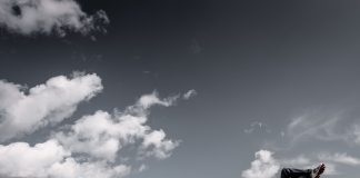 Learned Helplessness—What It Is And Why It Happens